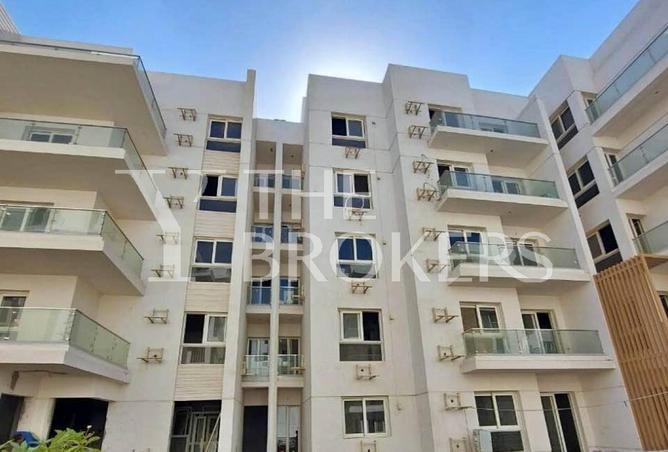 53983036 - Property Image 3