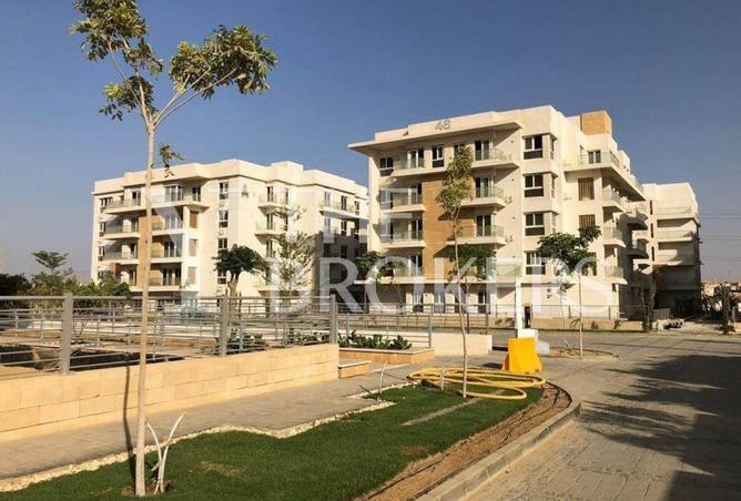 53983036 - Property Image 2