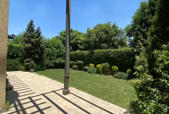 115456838 - Property Image 2