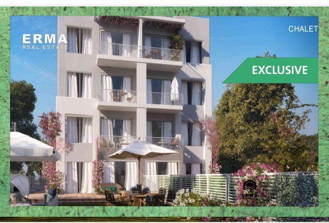 85063310 - Property Image 3