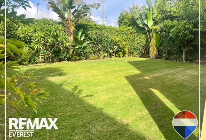 57990086 - صورة العقار 3