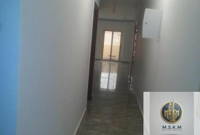 55753766 - صورة العقار 3