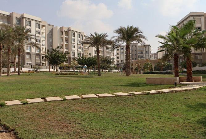 62164215 - صورة العقار 3