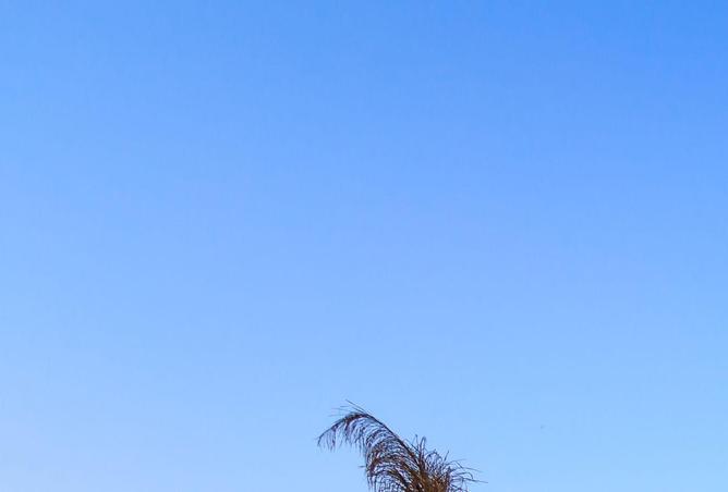 87516795 - Property Image 3