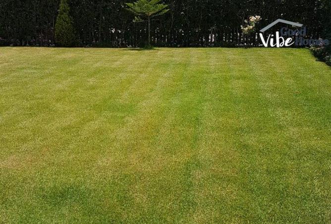 70633217 - Property Image 2