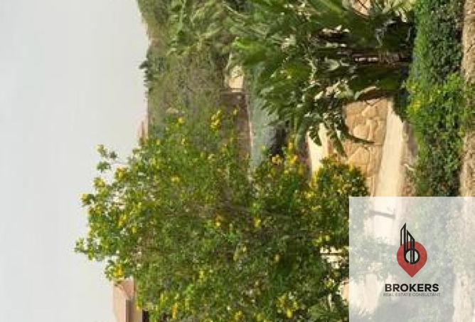 8505349 - صورة العقار 2