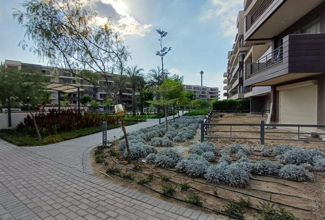 70104400 - صورة العقار 2