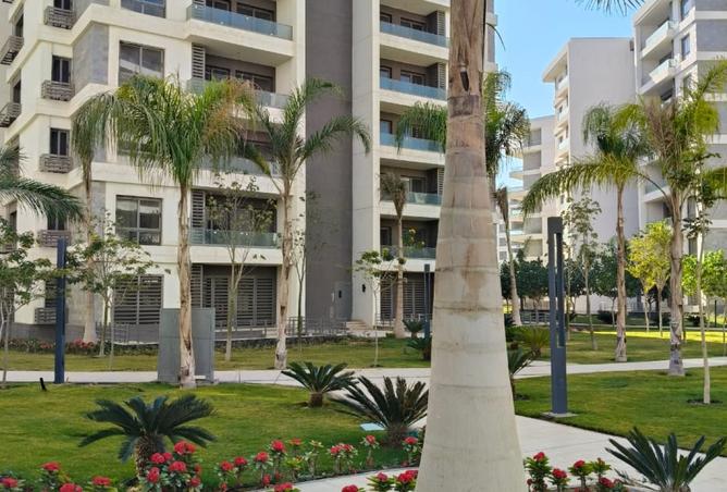 8519894 - Property Image 3