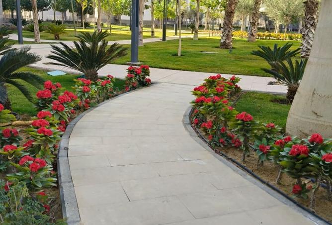 8519894 - Property Image 2