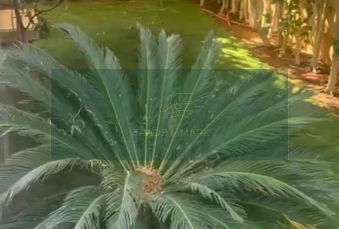 56245277 - Property Image 3