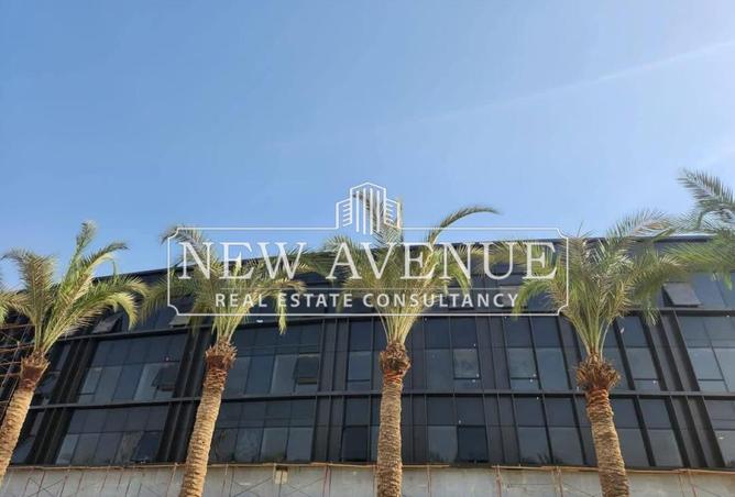 66868667 - Property Image 3