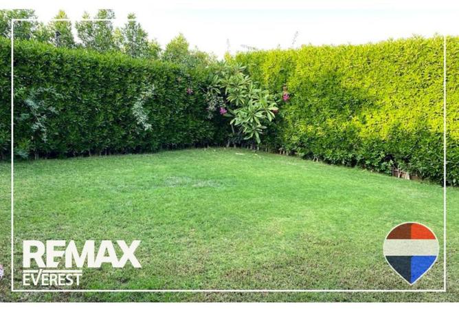 59488740 - Property Image 3