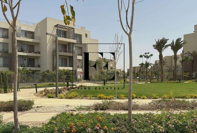 81052571 - صورة العقار 3