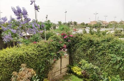 Villa - 3 Bedrooms - 3 Bathrooms for sale in Privado - Madinaty - Cairo Villa - 3 Bedrooms - 3 Bathrooms for sale in Privado - Madinaty - Cairo