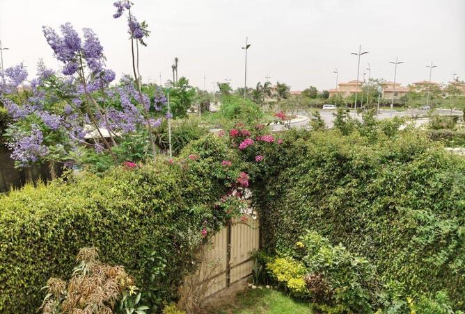 101789705 - صورة العقار 2