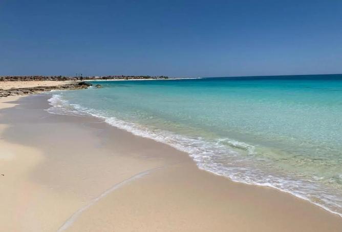 102622204 - صورة العقار 3