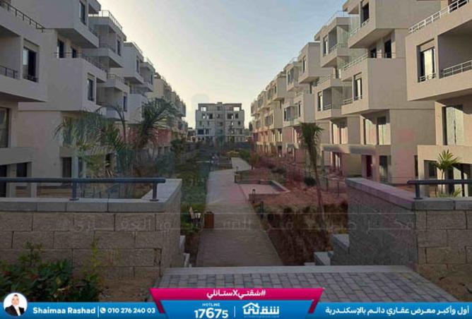 8489572 - Property Image 3