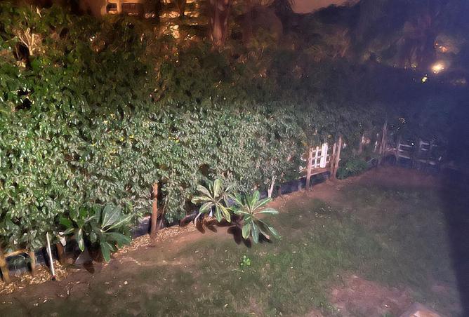 8435437 - صورة العقار 3