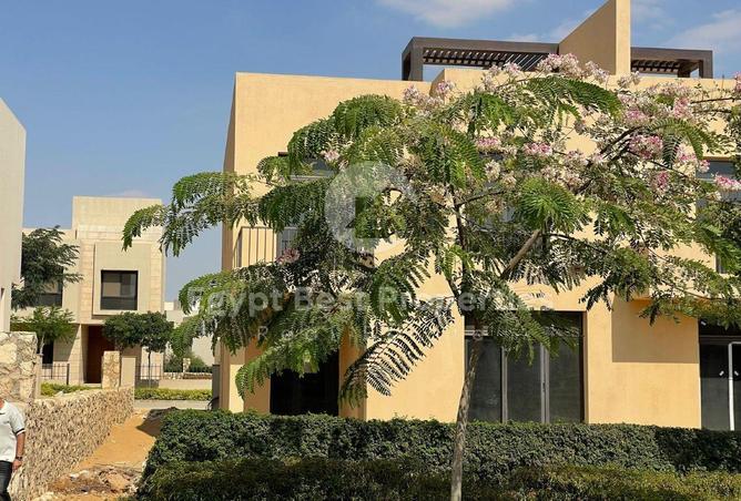 65154207 - صورة العقار 3