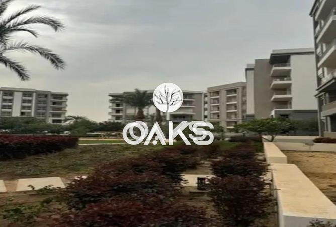 68003997 - Property Image 3