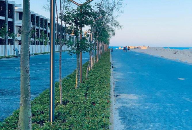 66965784 - Property Image 3