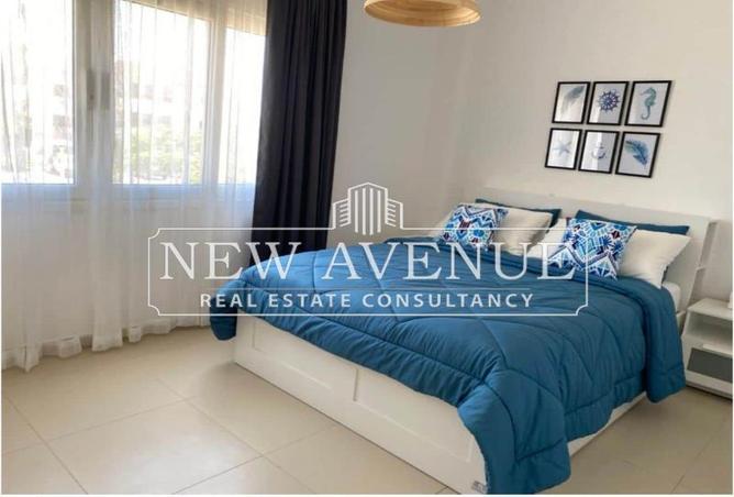 56915501 - Property Image 2