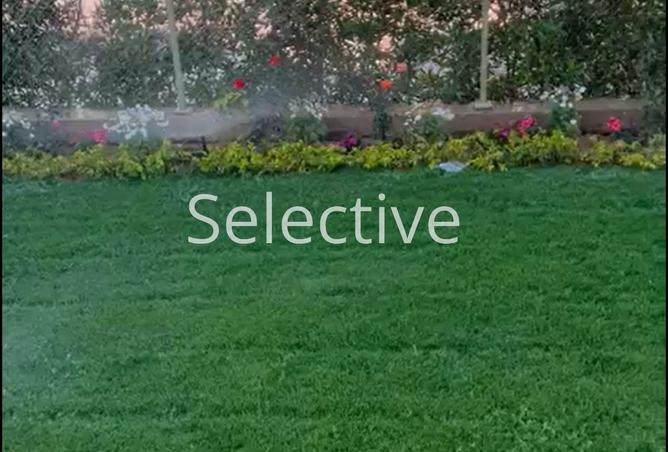 56494941 - صورة العقار 3