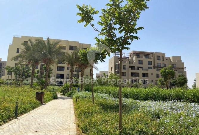 8579171 - Property Image 2