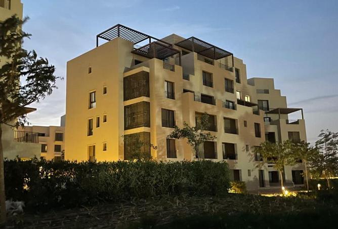 53477891 - صورة العقار 2