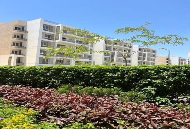 8400213 - الصورة الرئيسية للعقار