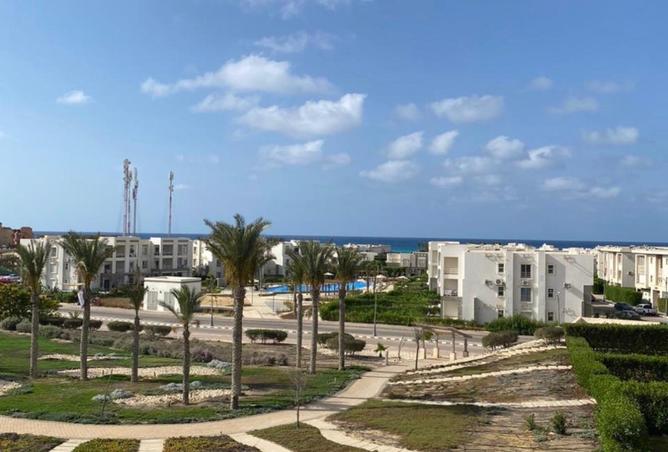 58241469 - صورة العقار 2