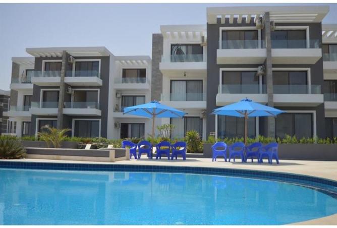 67737334 - Property Image 3