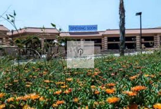 56003110 - صورة العقار 3