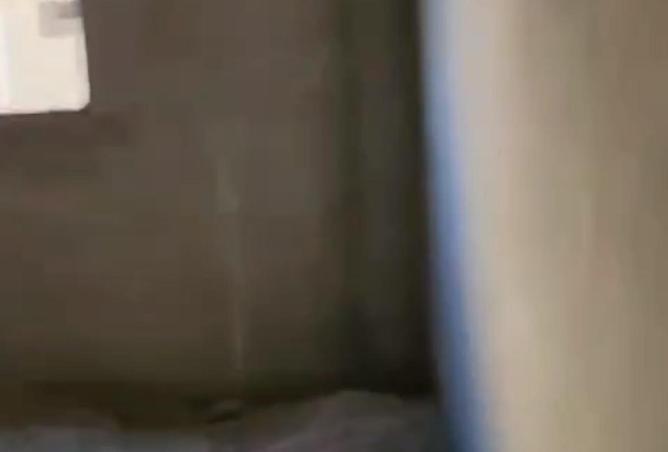 63145026 - Property Image 3