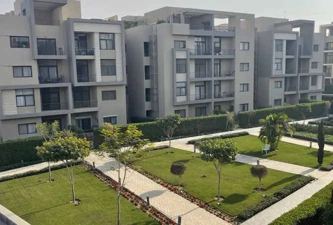 113535415 - Property Image 3
