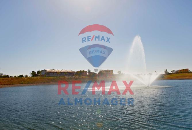 68785729 - Property Image 3