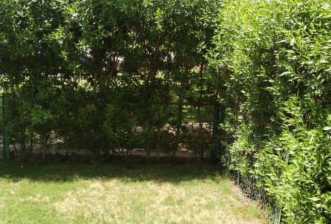 58256095 - صورة العقار 2