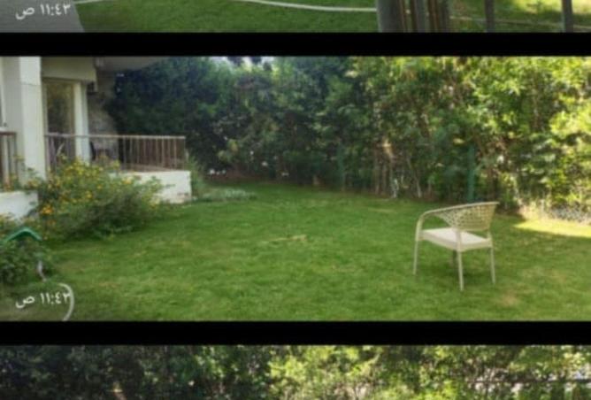 58256095 - صورة العقار 3