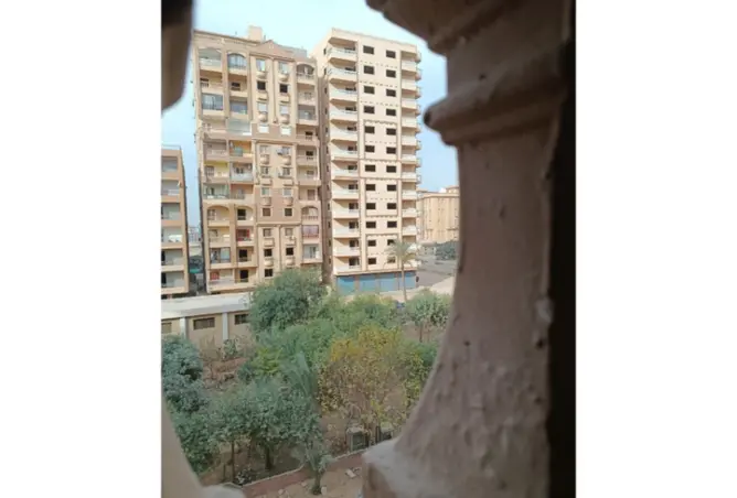 113261649 - صورة العقار 2