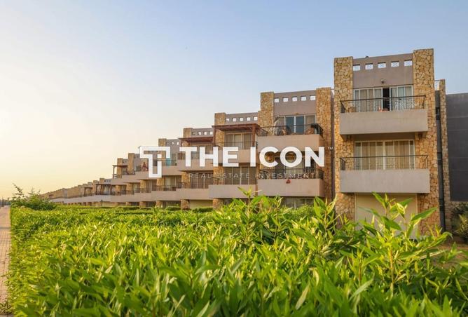 63386984 - Property Image 2