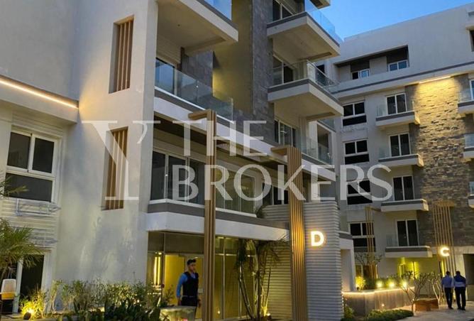 56250278 - Property Image 3