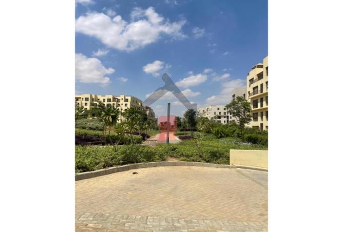 97141502 - صورة العقار 2