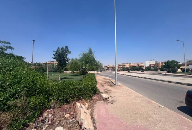 97437754 - صورة العقار 3