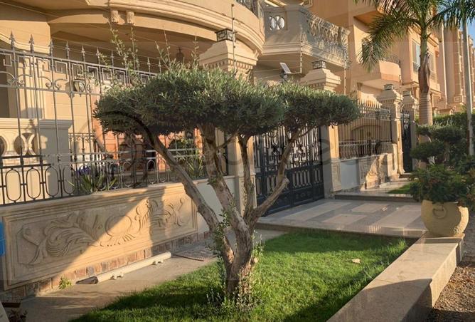 66429889 - صورة العقار 3