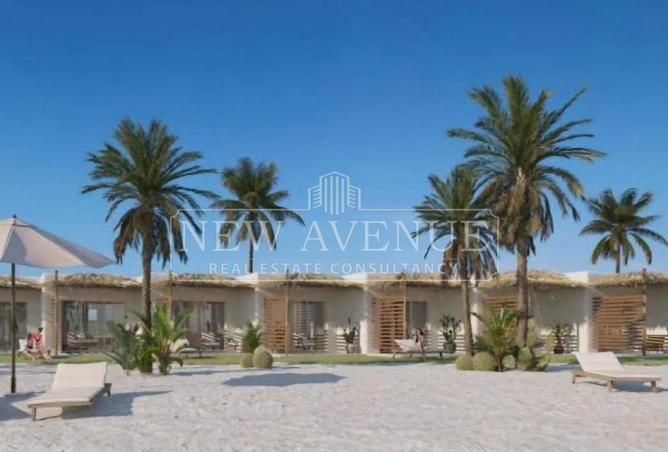 97135916 - Property Main Image