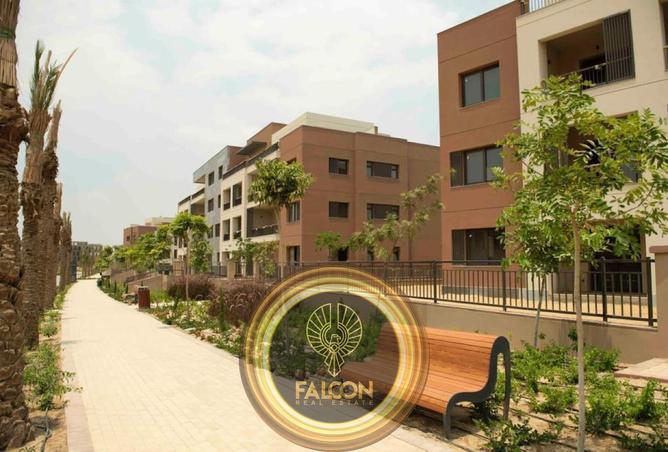 71657591 - Property Image 3