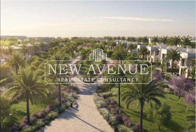 64905758 - صورة العقار 3