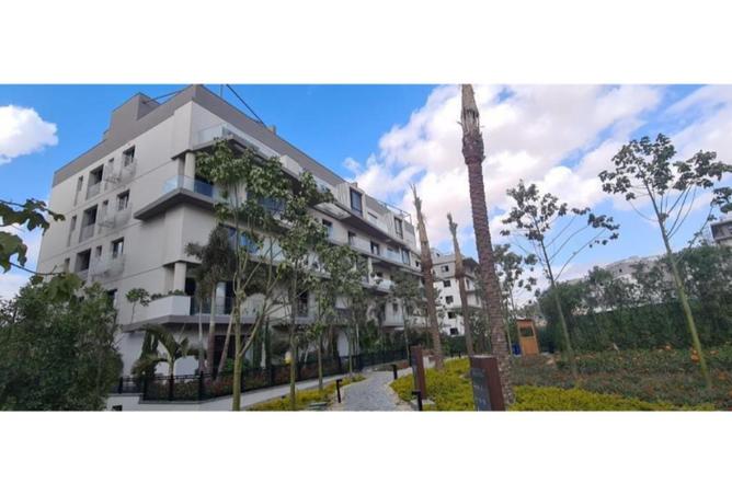 56009688 - Property Main Image