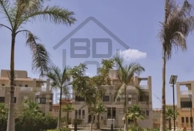 97437078 - Property Image 2