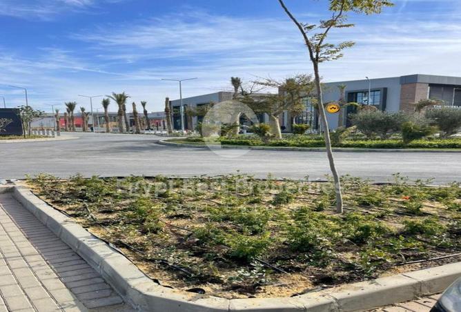 8599725 - صورة العقار 2